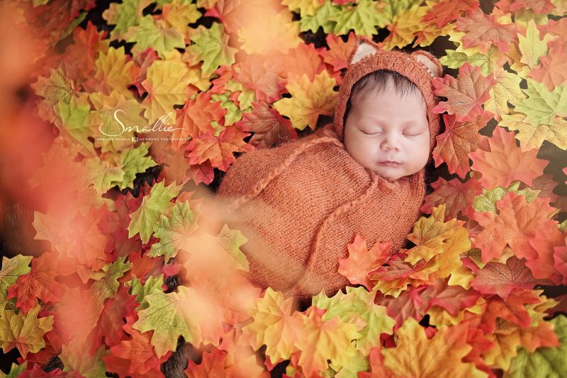 newborn photography autumn leaves