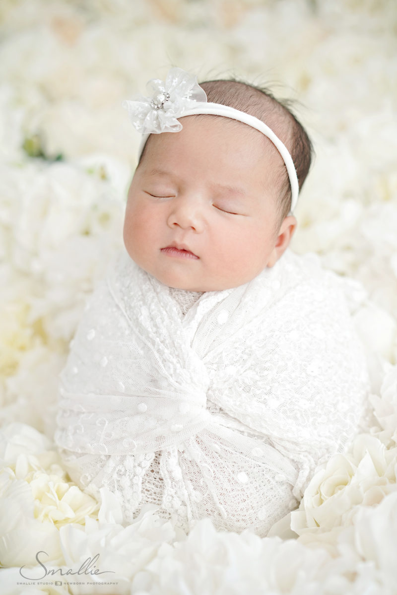White Rose Newborn