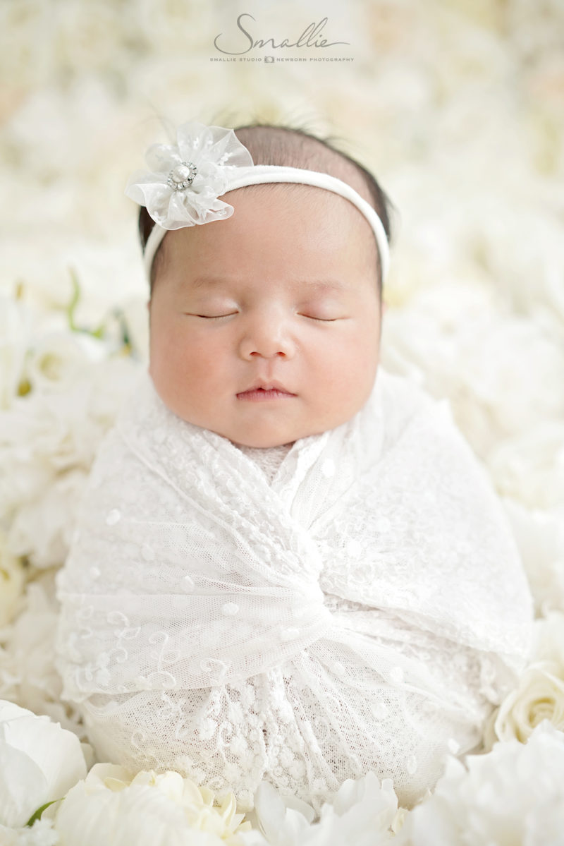 White Rose Newborn