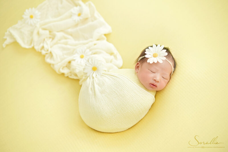 Newborn Daisy Theme