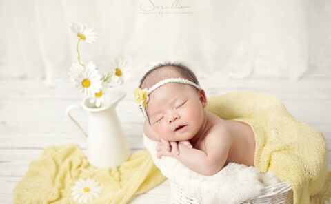 Newborn Daisy Theme